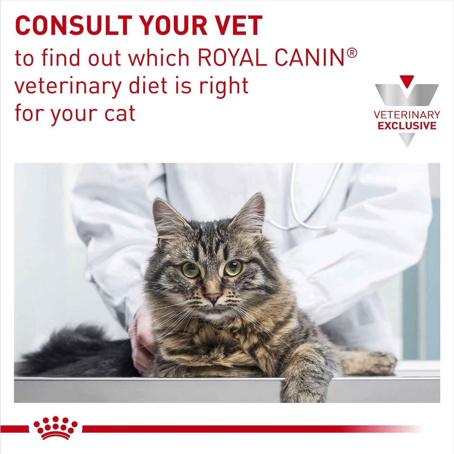 Royal Canin Veterinary Diet Adult Ultamino Dry Cat Food 11 Royal Canin Veterinary Diet Adult Ultamino Dry Cat Food - Image 9