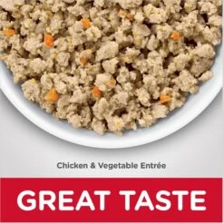 Hill's Science Diet Adult Sensitive Stomach & Skin Chicken & Vegetable Entrée Canned Cat Food 13 Hill's Science Diet Adult Sensitive Stomach & Skin Chicken & Vegetable Entrée Canned Cat Food -Blue Buffalo Shop 109206 PT2. AC SS1800 V1609381365