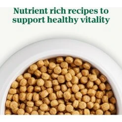 Nutro Natural Choice Small Bites Adult Chicken & Brown Rice Recipe Dry Dog Food 19 Nutro Natural Choice Small Bites Adult Chicken & Brown Rice Recipe Dry Dog Food -Blue Buffalo Shop 109418 PT8. AC SS1800 V1691418446