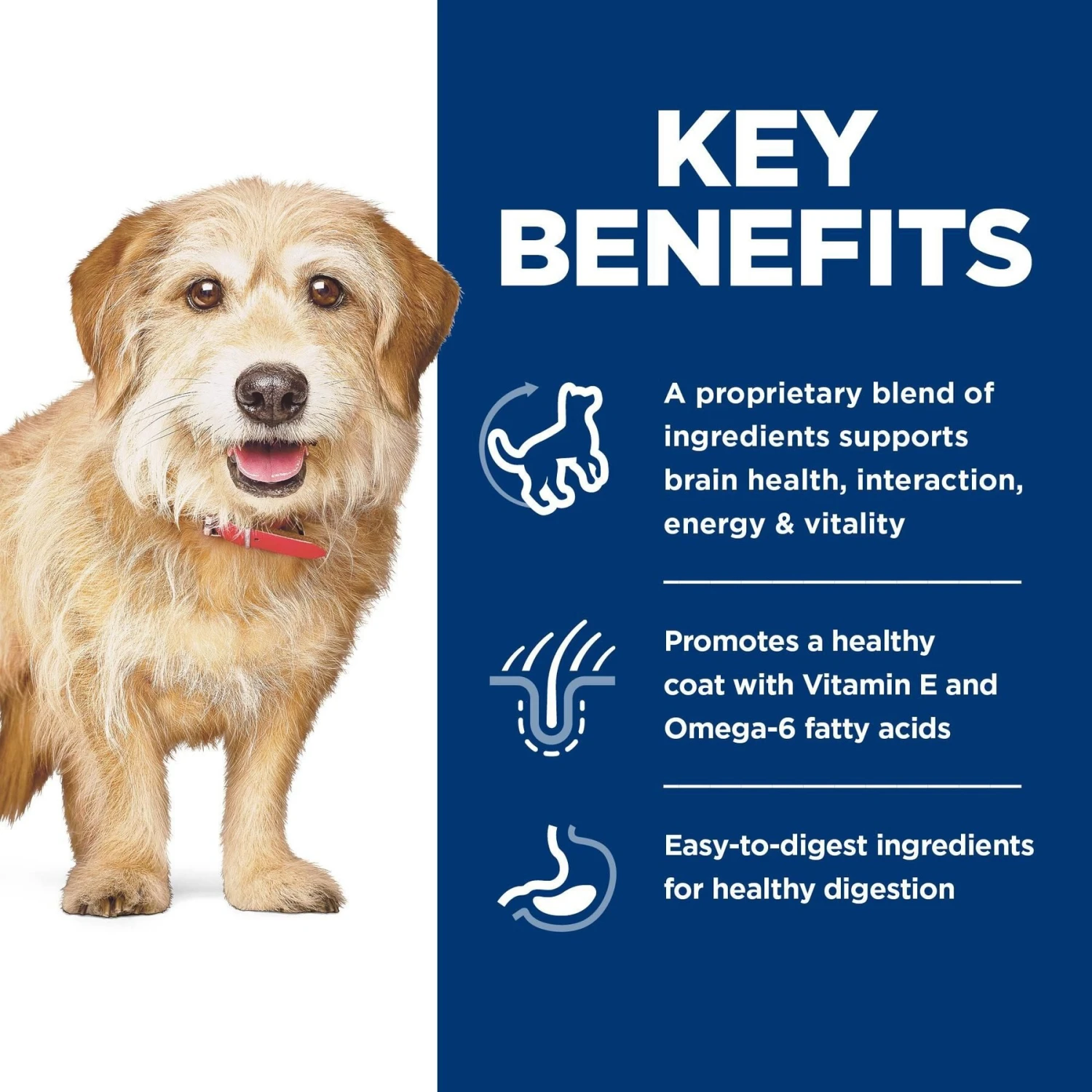 Hill's Science Diet Adult 7+ Senior Vitality Small & Mini Chicken & Rice Recipe Dry Dog Food 8 Hill's Science Diet Adult 7+ Senior Vitality Small & Mini Chicken & Rice Recipe Dry Dog Food - Image 6