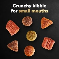 Cesar Filet Mignon Flavor & Spring Vegetables Garnish Small Breed Dry Dog Food 13 Cesar Filet Mignon Flavor & Spring Vegetables Garnish Small Breed Dry Dog Food -Blue Buffalo Shop 110524 PT2. AC SS1800 V1695650724