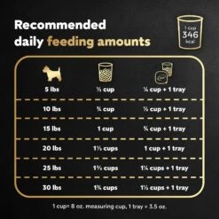 Cesar Filet Mignon Flavor & Spring Vegetables Garnish Small Breed Dry Dog Food 17 Cesar Filet Mignon Flavor & Spring Vegetables Garnish Small Breed Dry Dog Food -Blue Buffalo Shop 110524 PT6. AC SS1800 V1622670770