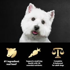 Cesar Filet Mignon Flavor & Spring Vegetables Garnish Small Breed Dry Dog Food 19 Cesar Filet Mignon Flavor & Spring Vegetables Garnish Small Breed Dry Dog Food -Blue Buffalo Shop 110524 PT8. AC SS1800 V1695674569