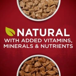 Purina ONE SmartBlend True Instinct Tender Cuts In Gravy Variety Pack Canned Dog Food -Blue Buffalo Shop 111092 PT2. AC SS1800 V1671735752