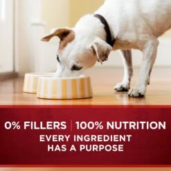 Purina ONE SmartBlend True Instinct Tender Cuts In Gravy Variety Pack Canned Dog Food -Blue Buffalo Shop 111092 PT8. AC SS1800 V1671734992