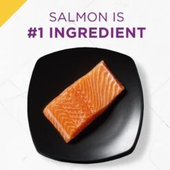Purina Pro Plan Prime Plus Adult 7+ Salmon & Tuna Entree Classic Canned Cat Food, 3-oz Can, Case Of 24 -Blue Buffalo Shop 111107 PT2. AC SS1800 V1585863093