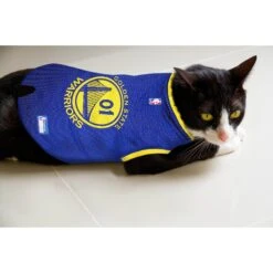 Pets First NBA Dog & Cat Mesh Jersey, Golden State Warriors 15 Pets First NBA Dog & Cat Mesh Jersey, Golden State Warriors -Blue Buffalo Shop 111967 PT5. AC SS1800 V1539982937
