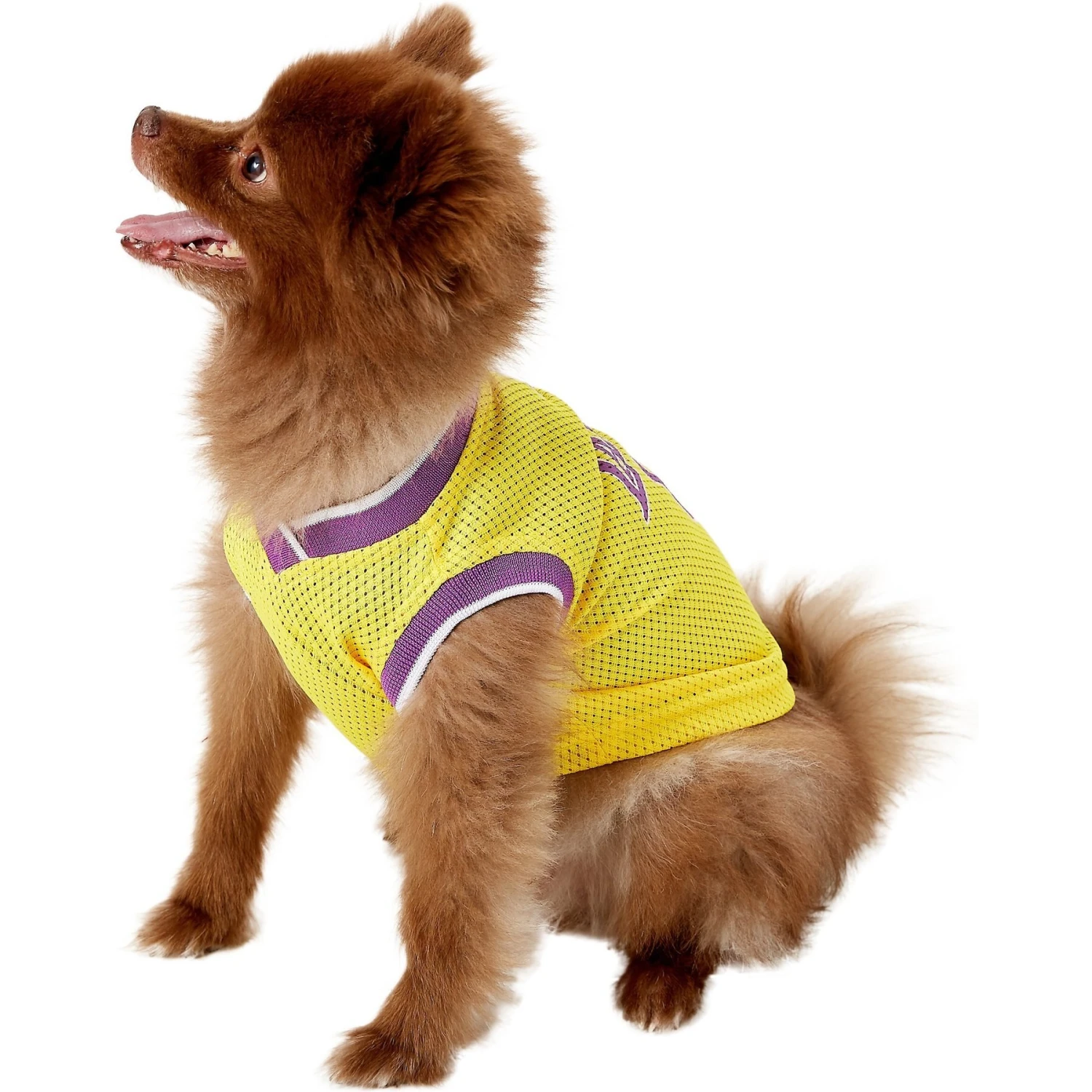 Pets First NBA Dog & Cat Mesh Jersey 6 Pets First NBA Dog & Cat Mesh Jersey - Image 4