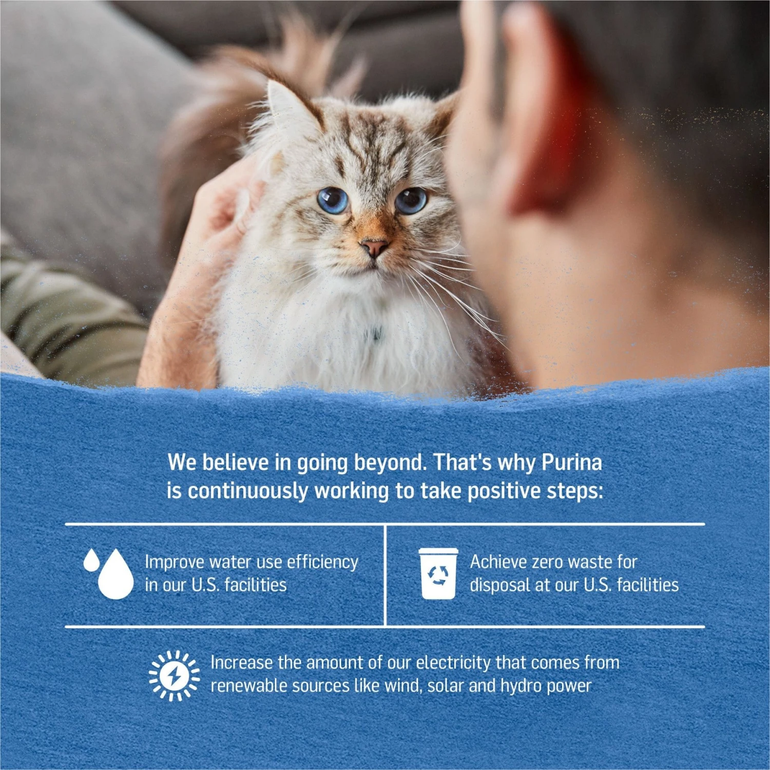 Purina Beyond Natural Wild-Caught Tuna, Cod & Carrots Recipe In Gravy Canned Cat Food 8 Purina Beyond Natural Wild-Caught Tuna, Cod & Carrots Recipe In Gravy Canned Cat Food - Image 6