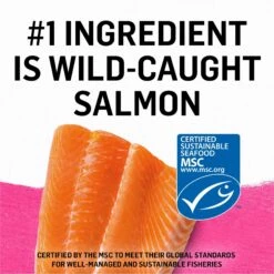 Purina Beyond Grain-Free Wild Salmon Pate Recipe Canned Cat Food -Blue Buffalo Shop 112046 PT3. AC SS1800 V1700157508