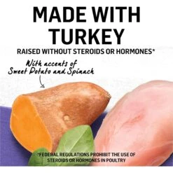 Purina Beyond Cage-Free Turkey, Sweet Potato & Spinach Recipe In Gravy Canned Cat Food -Blue Buffalo Shop 112047 PT3. AC SS1800 V1699367808