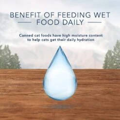 Blue Buffalo Wilderness Pate Kitten Variety Pack With Chicken & Salmon Grain-Free Cat Food -Blue Buffalo Shop 114188 PT6. AC SS1800 V1601027166
