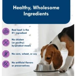 Blue Buffalo Divine Delights Top Sirloin Flavor Pate Dog Food Trays -Blue Buffalo Shop 114282 PT5. AC SS1800 V1642635410