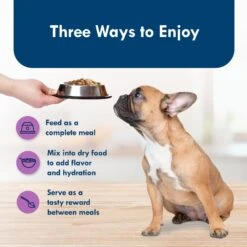 Blue Buffalo Divine Delights Top Sirloin Flavor Pate Dog Food Trays -Blue Buffalo Shop 114282 PT6. AC SS1800 V1642652518