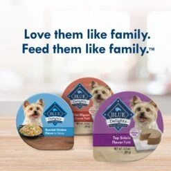 Blue Buffalo Divine Delights Top Sirloin Flavor Pate Dog Food Trays -Blue Buffalo Shop 114282 PT8. AC SS1800 V1642633007