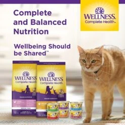 Wellness Complete Health Natural Grain-Free Deboned Chicken & Chicken Meal Dry Kitten Food 16 Wellness Complete Health Natural Grain-Free Deboned Chicken & Chicken Meal Dry Kitten Food -Blue Buffalo Shop 114499 PT5. AC SS1800 V1636504615