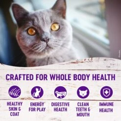 Wellness Complete Health Natural Grain-Free Deboned Chicken & Chicken Meal Dry Cat Food 14 Wellness Complete Health Natural Grain-Free Deboned Chicken & Chicken Meal Dry Cat Food -Blue Buffalo Shop 114504 PT3. AC SS1800 V1636554392