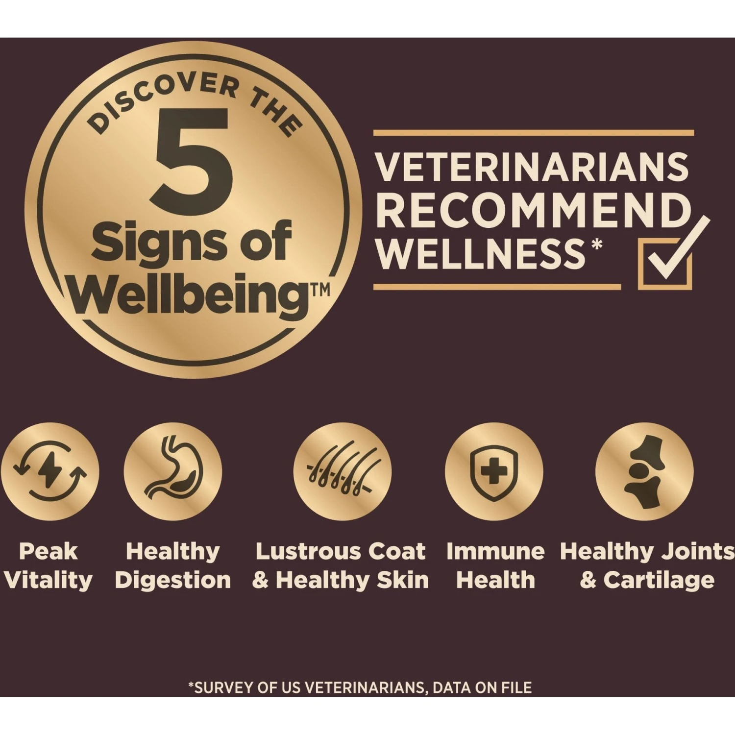 Wellness CORE RawRev Grain-Free Original Recipe With Freeze-Dried Turkey Dry Dog Food 7 Wellness CORE RawRev Grain-Free Original Recipe With Freeze-Dried Turkey Dry Dog Food - Image 5