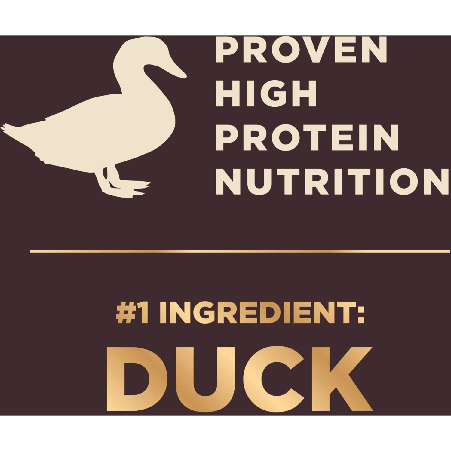 Wellness CORE RawRev Grain-Free Wild Game Recipe With Freeze-Dried Lamb Dry Dog Food 8 Wellness CORE RawRev Grain-Free Wild Game Recipe With Freeze-Dried Lamb Dry Dog Food - Image 6