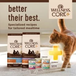 Wellness CORE Grain-Free Indoor Chicken & Chicken Liver Recipe Canned Cat Food -Blue Buffalo Shop 118870 PT7. AC SS1800 V1695826951