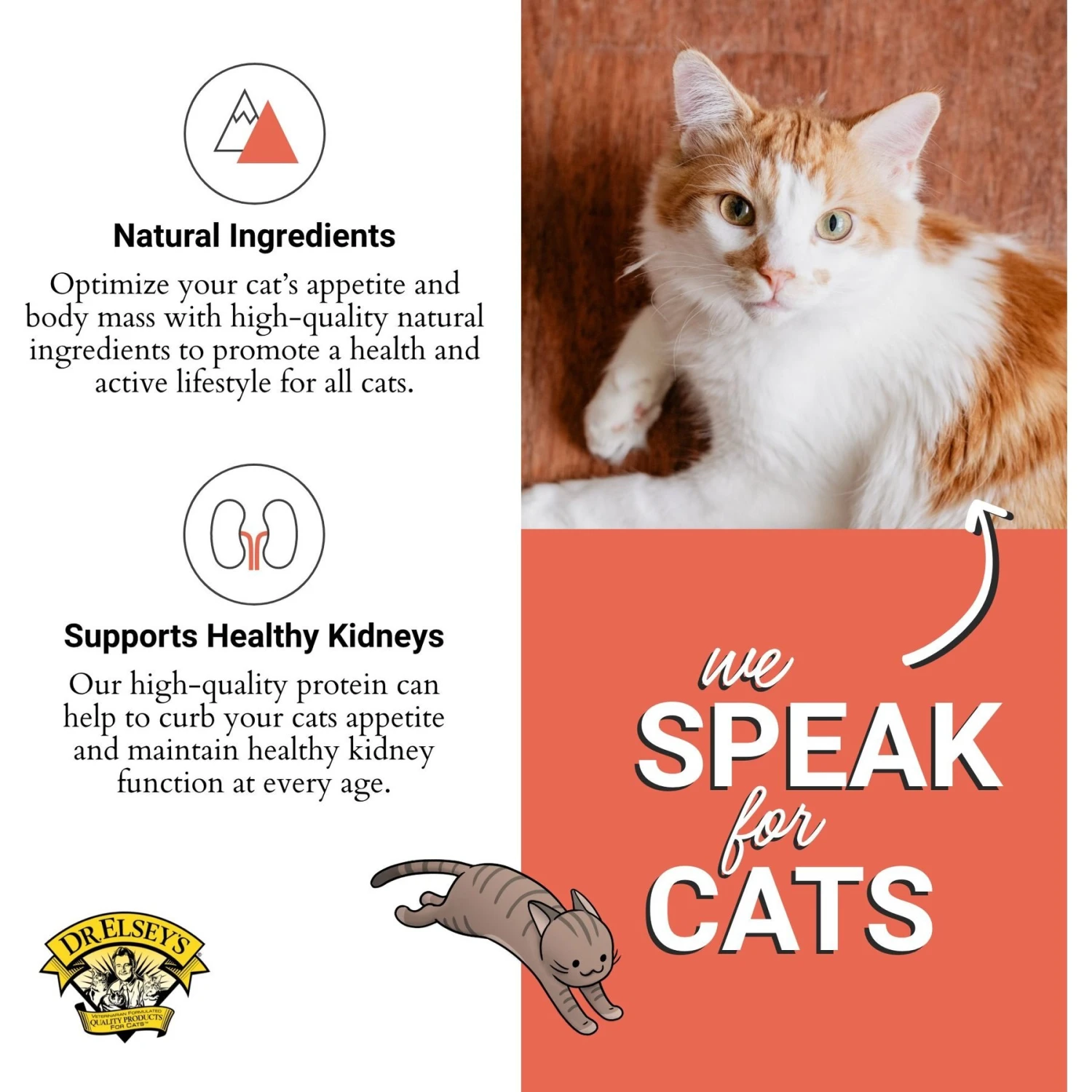 Dr. Elsey's Cleanprotein Salmon Kibble Cat Dry Food 7 Dr. Elsey's Cleanprotein Salmon Kibble Cat Dry Food - Image 5