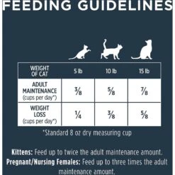 Instinct Raw Boost Indoor Grain-Free Recipe With Real Rabbit & Freeze-Dried Raw Coated Pieces Dry Cat Food 19 Instinct Raw Boost Indoor Grain-Free Recipe With Real Rabbit & Freeze-Dried Raw Coated Pieces Dry Cat Food -Blue Buffalo Shop 119121 PT8. AC SS1800 V1623441751