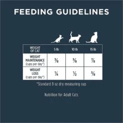 Instinct Raw Boost Healthy Weight Grain-Free Chicken & Freeze-Dried Raw Coated Pieces Recipe Dry Cat Food -Blue Buffalo Shop 119123 PT7. AC SS1800 V1552403920