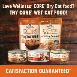 Wellness CORE Grain-Free Kitten Formula Natural Dry Cat Food -Blue Buffalo Shop 119557 PT4. AC SS1800 V1636554431