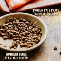 Wellness CORE Grain-Free Indoor Formula Dry Cat Food -Blue Buffalo Shop 119567 PT2. AC SS1800 V1636554139