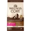 Wellness CORE Grain-Free Turkey, Turkey Meal & Duck Formula Natural Dry Cat Food -Blue Buffalo Shop 119569 MAIN. AC SS1800 V1636510702