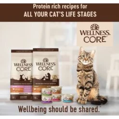 Wellness CORE Grain-Free Turkey, Turkey Meal & Duck Formula Natural Dry Cat Food -Blue Buffalo Shop 119569 PT5. AC SS1800 V1636553858