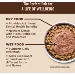 Wellness CORE Grain-Free Turkey, Turkey Meal & Duck Formula Natural Dry Cat Food -Blue Buffalo Shop 119569 PT7. AC SS1800 V1636554166