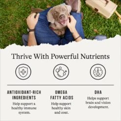 American Journey Limited Ingredient Salmon & Sweet Potato Recipe Grain-Free Dry Dog Food 15 American Journey Limited Ingredient Salmon & Sweet Potato Recipe Grain-Free Dry Dog Food -Blue Buffalo Shop 121276 PT4. AC SS1800 V1665438003