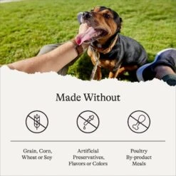 American Journey Limited Ingredient Duck & Sweet Potato Recipe Grain-Free Dry Dog Food -Blue Buffalo Shop 121306 PT6. AC SS1800 V1680545231