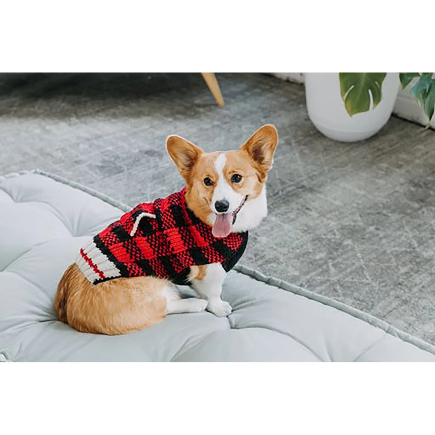 Chilly Dog Buffalo Plaid Dog & Cat Sweater 5 Chilly Dog Buffalo Plaid Dog & Cat Sweater - Image 3
