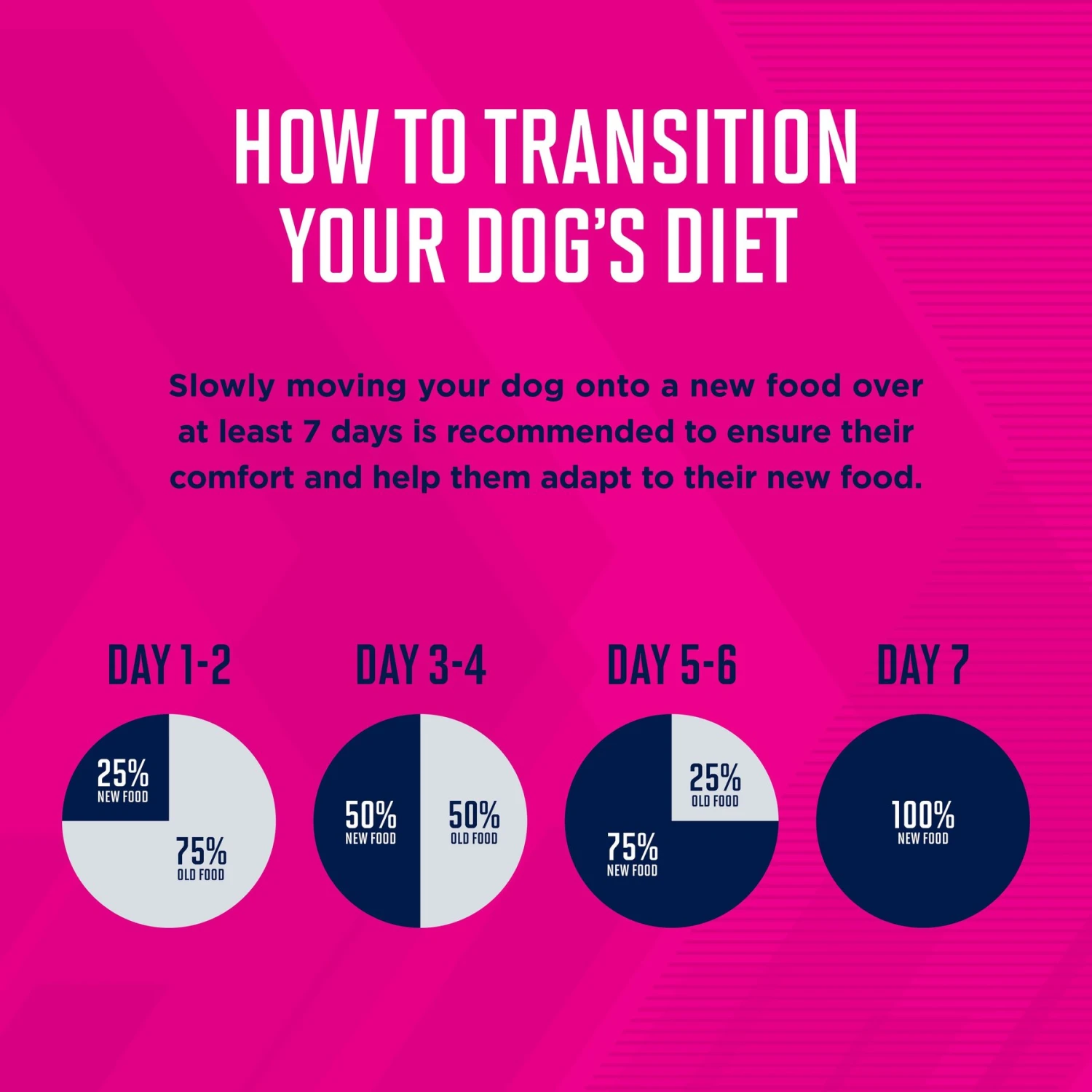 Eukanuba Adult Chicken & Vegetable Stew Canned Dog Food 6 Eukanuba Adult Chicken & Vegetable Stew Canned Dog Food - Image 4