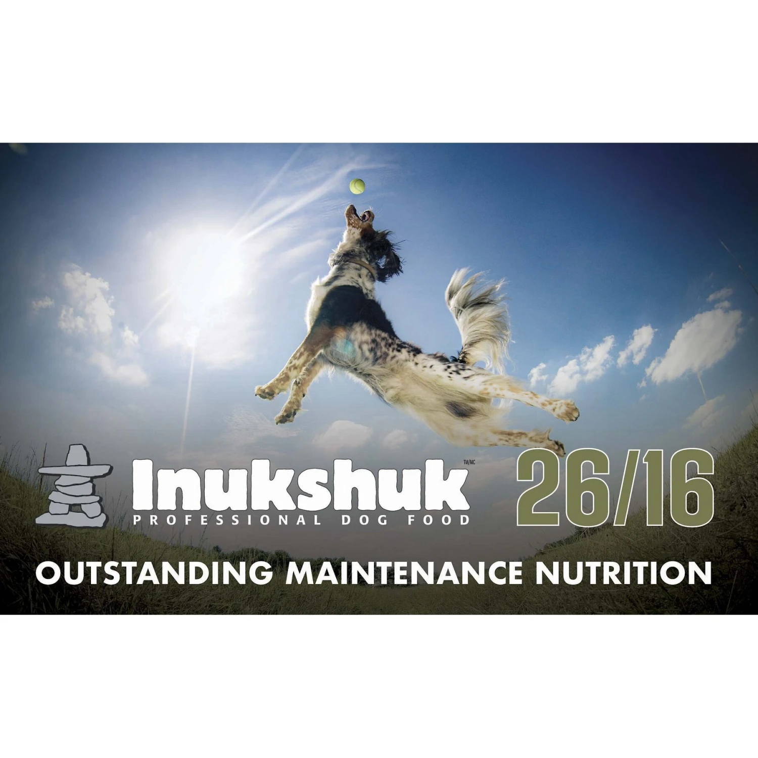 Inukshuk Professional Dry Dog Food 26/16 4 Inukshuk Professional Dry Dog Food 26/16 - Image 2