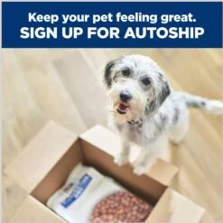 Hill's Prescription Diet K/d Kidney Care + Mobility Care With Chicken & Vegetable Stew Canned Dog Food 19 Hill's Prescription Diet K/d Kidney Care + Mobility Care With Chicken & Vegetable Stew Canned Dog Food -Blue Buffalo Shop 122115 PT8. AC SS1800 V1688761273