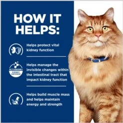 Hill's Prescription Diet K/d Kidney Care + Mobility Care With Chicken Dry Cat Food 16 Hill's Prescription Diet K/d Kidney Care + Mobility Care With Chicken Dry Cat Food -Blue Buffalo Shop 122119 PT5. AC SS1800 V1691775840