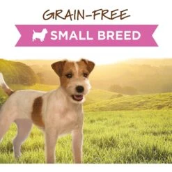 Instinct Original Small Breed Grain-Free Real Beef Recipe Wet Canned Dog Food -Blue Buffalo Shop 122331 PT1. AC SS1800 V1548802680