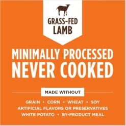 Instinct Raw Boost Mixers Lamb Recipe Grain-Free Freeze-Dried Dog Food Topper -Blue Buffalo Shop 122371 PT4. AC SS1800 V1690813663