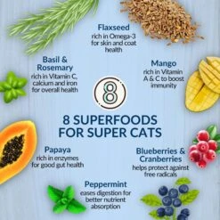 Wishbone Roost New Zealand Chicken Grain-Free Complete Cat Health Dry Cat Food -Blue Buffalo Shop 123912 PT3. AC SS1800 V1703863156