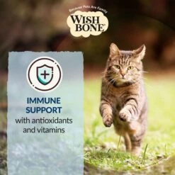 Wishbone Roost New Zealand Chicken Grain-Free Complete Cat Health Dry Cat Food -Blue Buffalo Shop 123912 PT5. AC SS1800 V1703863156