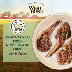 Wishbone Pasture New Zealand Lamb Grain-Free Complete Cat Health Dry Cat Food 13 Wishbone Pasture New Zealand Lamb Grain-Free Complete Cat Health Dry Cat Food -Blue Buffalo Shop 124079 PT2. AC SS1800 V1702503088