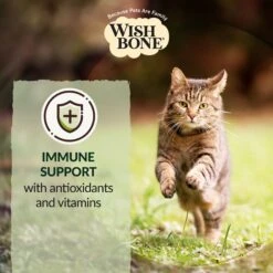 Wishbone Pasture New Zealand Lamb Grain-Free Complete Cat Health Dry Cat Food 16 Wishbone Pasture New Zealand Lamb Grain-Free Complete Cat Health Dry Cat Food -Blue Buffalo Shop 124079 PT5. AC SS1800 V1702503579