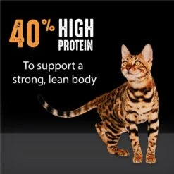 Crave With Protein From Chicken Adult Grain-Free Dry Cat Food -Blue Buffalo Shop 126679 PT4. AC SS1800 V1688756931