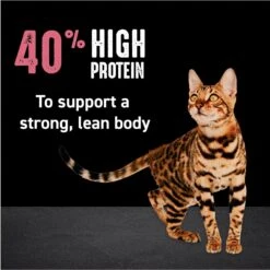 Crave With Protein From Chicken & Salmon Indoor Adult Grain-Free Dry Cat Food -Blue Buffalo Shop 126692 PT4. AC SS1800 V1688756658