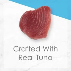 Fancy Feast Creamy Delights Tuna Feast In A Creamy Sauce Canned Cat Food 14 Fancy Feast Creamy Delights Tuna Feast In A Creamy Sauce Canned Cat Food -Blue Buffalo Shop 128385 PT3. AC SS1800 V1636413721