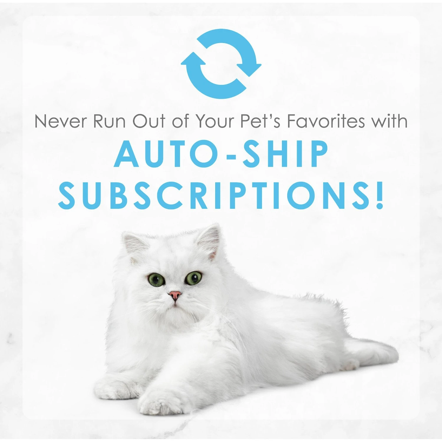 Fancy Feast Creamy Delights Tuna Feast In A Creamy Sauce Canned Cat Food 11 Fancy Feast Creamy Delights Tuna Feast In A Creamy Sauce Canned Cat Food - Image 9