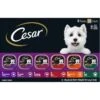 Cesar Classic Loaf In Sauce Variety Pack Grain-Free Small Breed Adult Wet Dog Food Trays